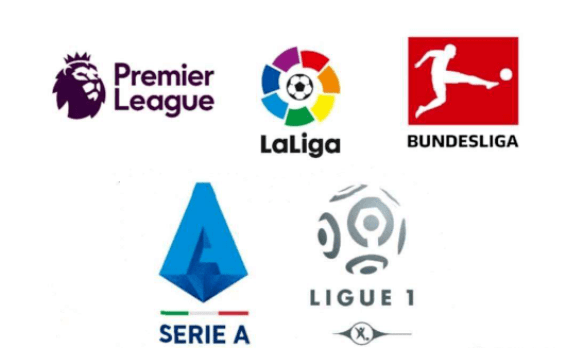 组委会以装 组委会以装